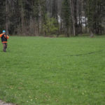 Cb Hundetraining BIld