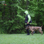 Cb Hundetraining BIld