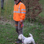 CB Hundetraining